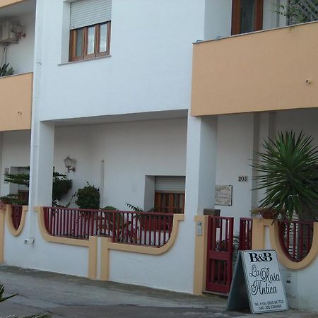 B&B La Rosa Antica Castro  Zewnętrze zdjęcie