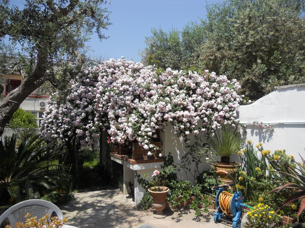 B&B La Rosa Antica Castro  Zewnętrze zdjęcie