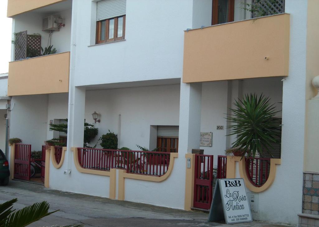 B&B La Rosa Antica Castro  Zewnętrze zdjęcie
